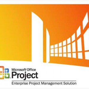 MS Project Review